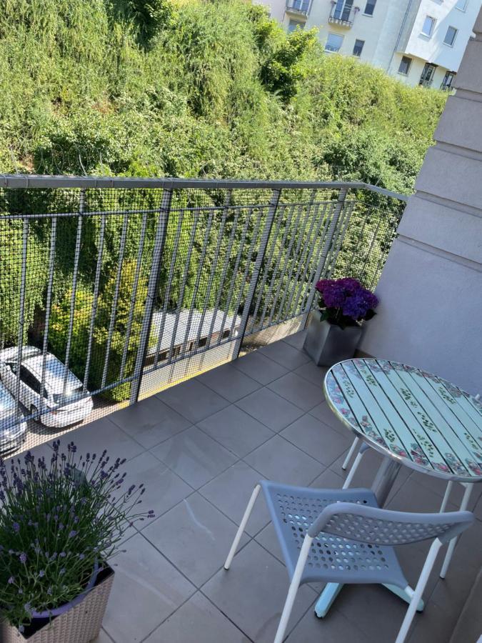 Bellis Apartment Szczecin Bagian luar foto